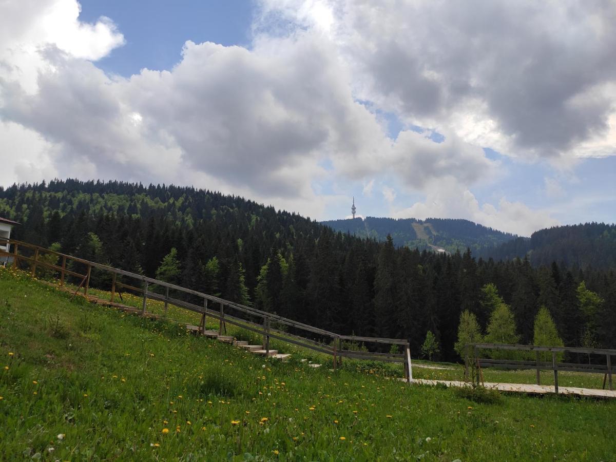 Forest Dream Apartment - Elit Pamporovo Exterior photo