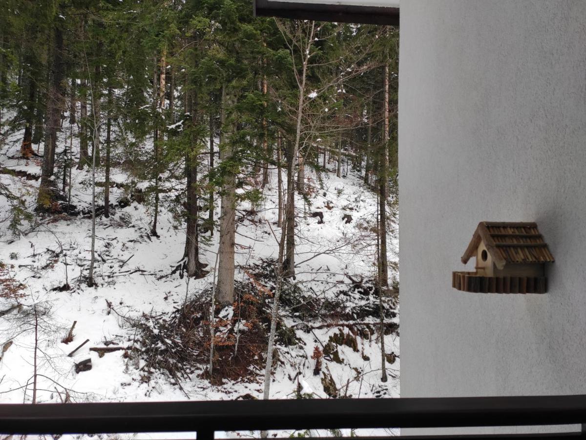 Forest Dream Apartment - Elit Pamporovo Exterior photo