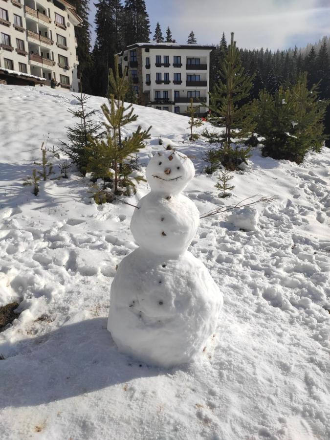 Forest Dream Apartment - Elit Pamporovo Exterior photo